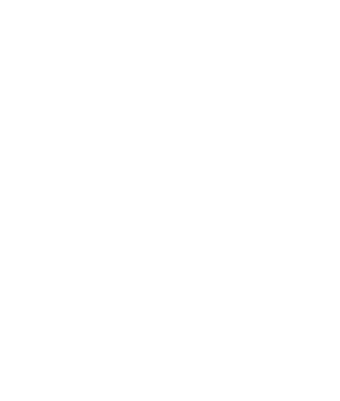 Lisk logo